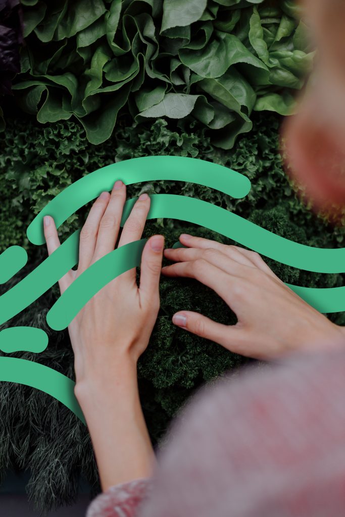 Hands touching a vertical green wall as a visual reference to rotomoulding-supported growing systems